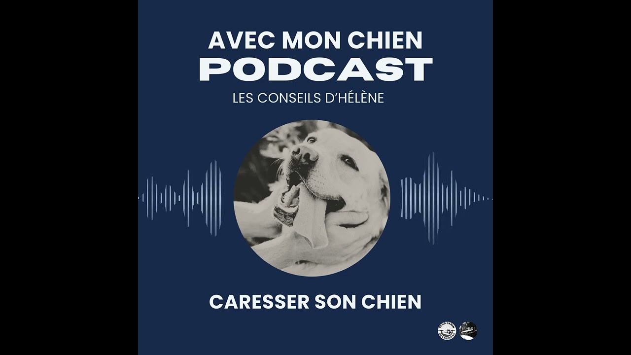 Caresser son chien
