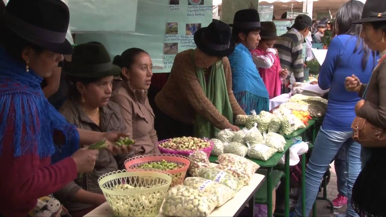 Sigchos sede de la 2da  Feria cultural, gastron&oacute;mica, artesanal y art&iacute;stica Cotopaxi 2015