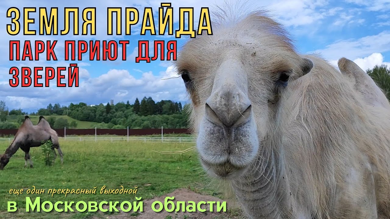 ПАРК ЛЬВОВ 