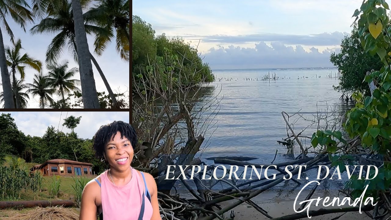 A Fun & Scenic Evening in St. David | Westerhall, Bacolet Bay & MORE | Exploring Grenada with Nezzle