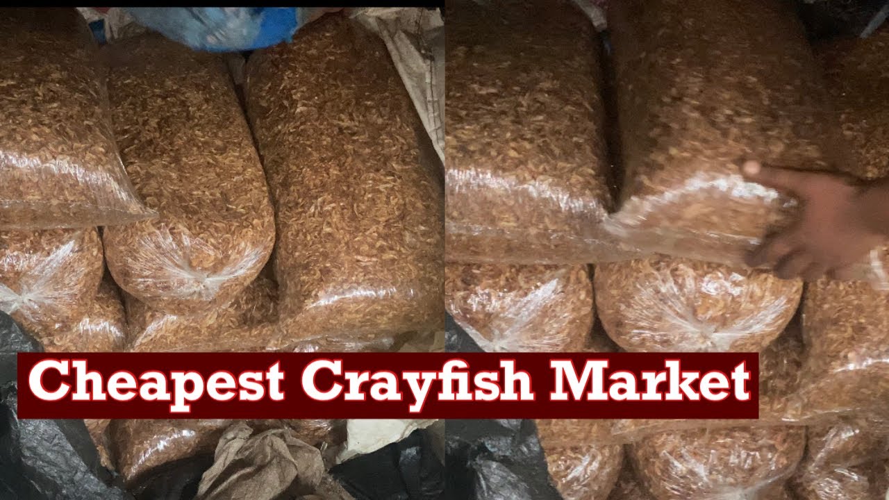 CHEAPEST CRAYFISH Market In Nigeria || Crayfish & Fish Market In Nigeria