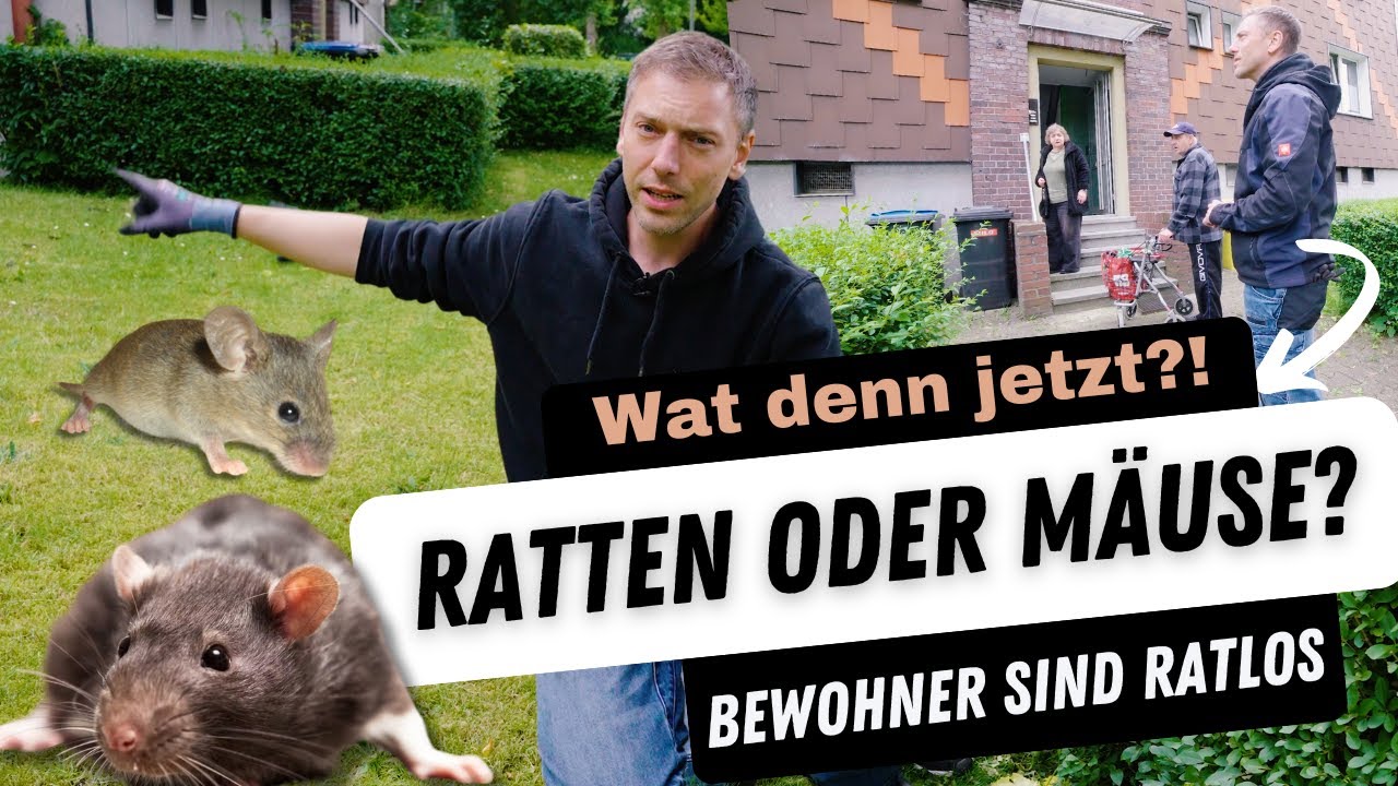 Ratten und Mäuse überall! 🐀 Wohnsiedlung im Ausnahmezustand | Kammerjäger on Tour