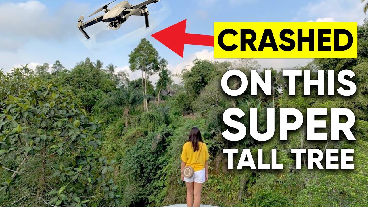 DRONE RECOVERY: Crashed My DJI Mavic Pro ON A SUPER TALL TREE | UBUD BALI