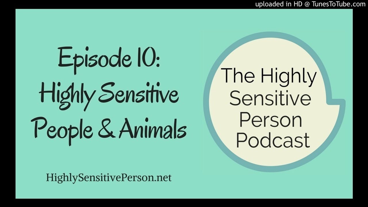 Highly Sensitive People & Animals