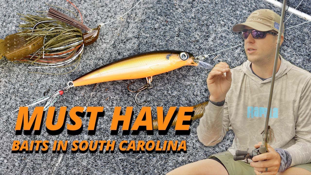 Must Have Baits for South Carolina Bass Fishing w/ Patrick Walters