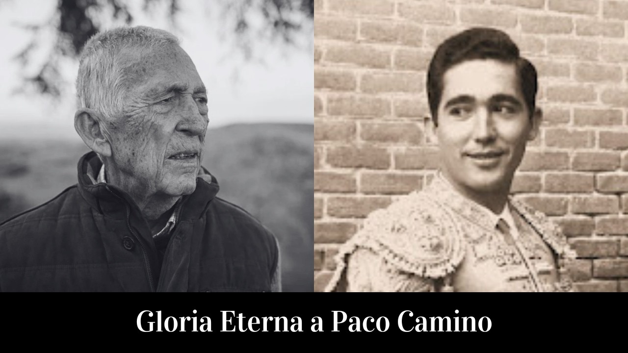 Gloria Eterna a Paco Camino | 1940 - 2024