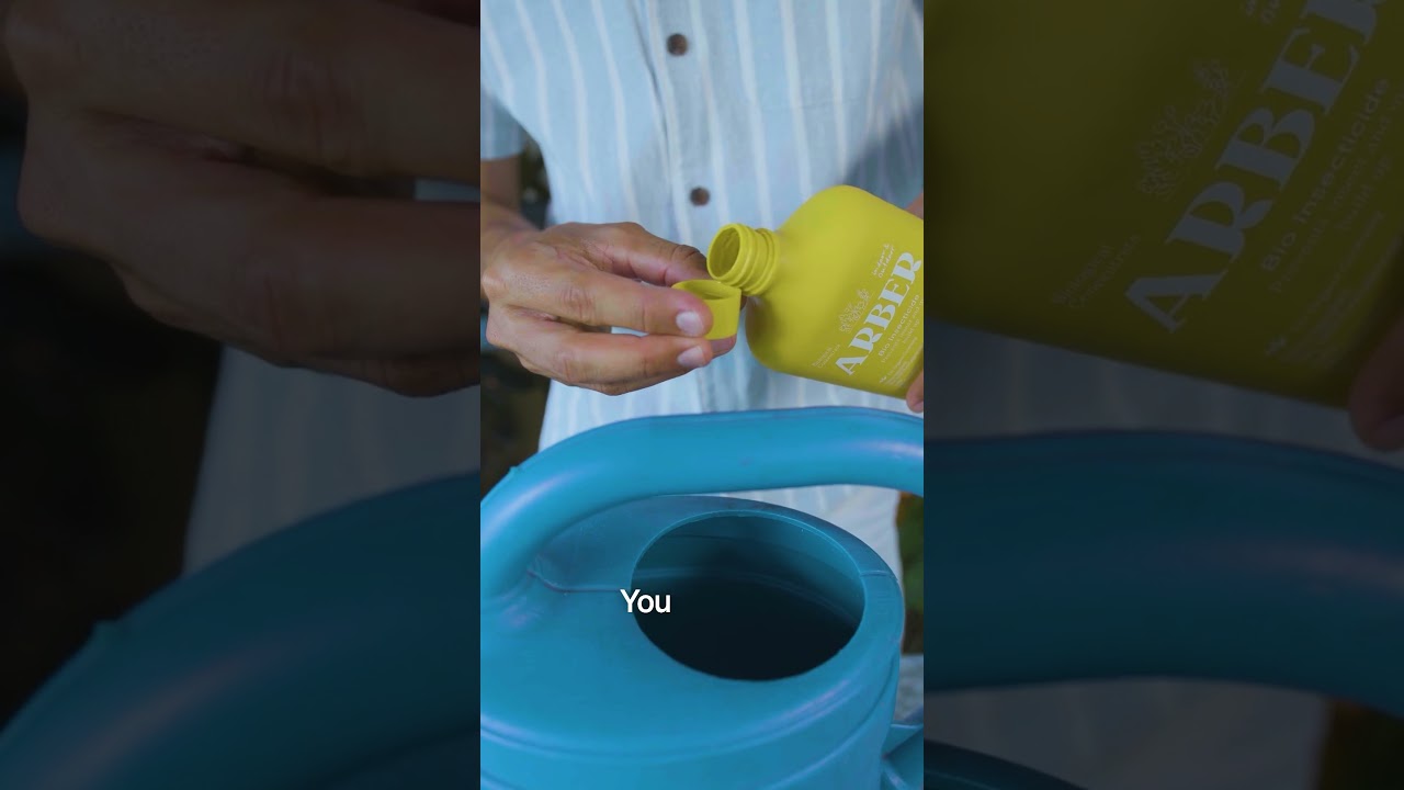 Unveiling Arber&rsquo;s Bio-Insecticide: Protect Your Garden from Insect Ravages!