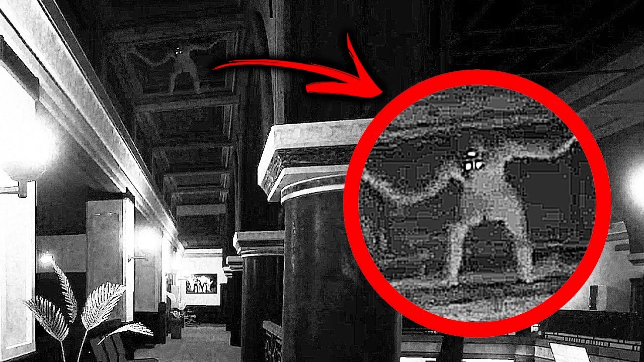 ANOMALÍAS TERRORÍFICAS CASI IMPERCEPTIBLES - I'M ON OBSERVATION DUTY 5 GAMEPLAY ESPAÑOL