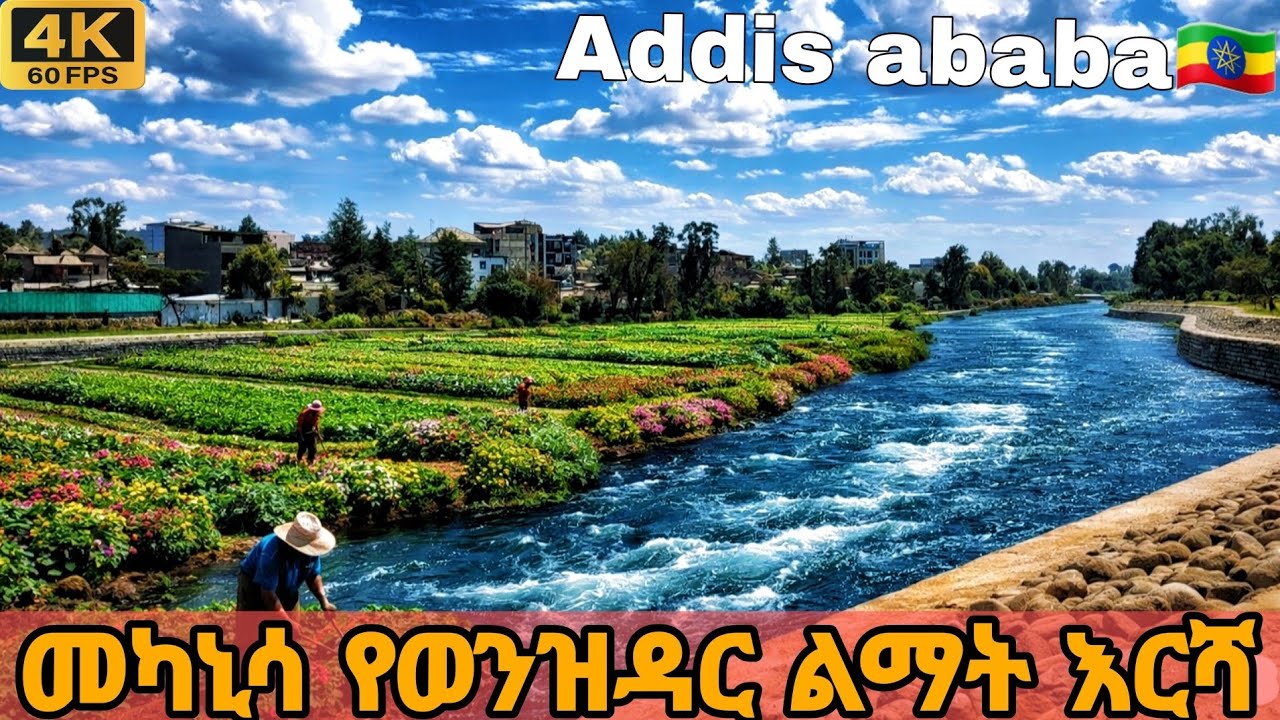 Mekanisa Riverside Development and Urban Farming | Addis Ababa Ethiopia 🇪🇹 | 4K Walking Tour