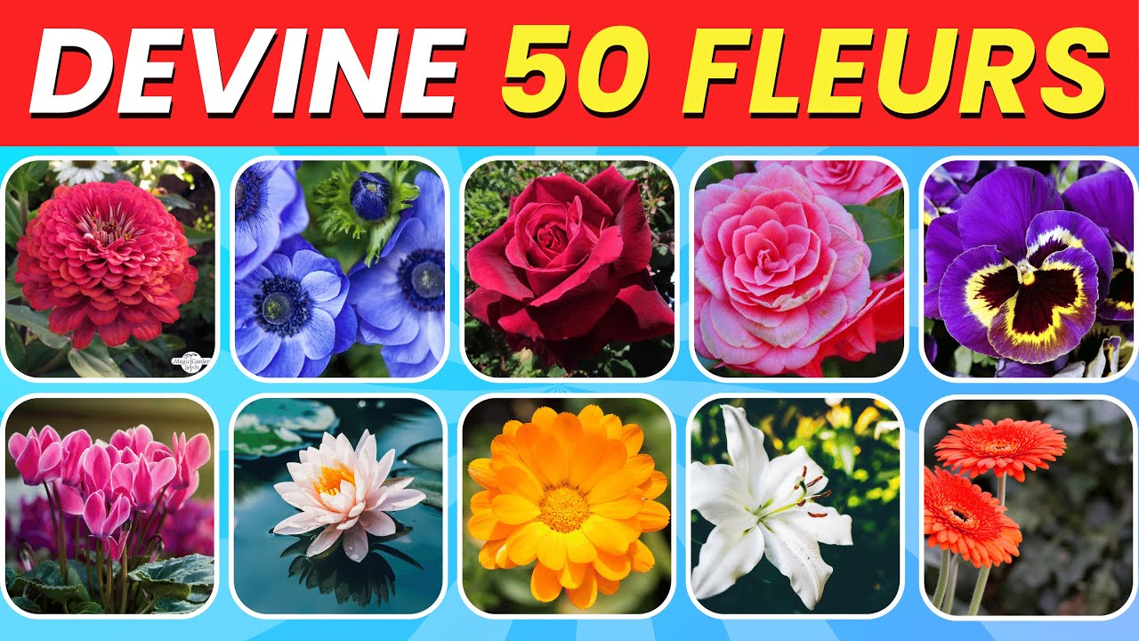 Devine 50 Types de Fleurs ! 🌻🌷 | Quiz Nature