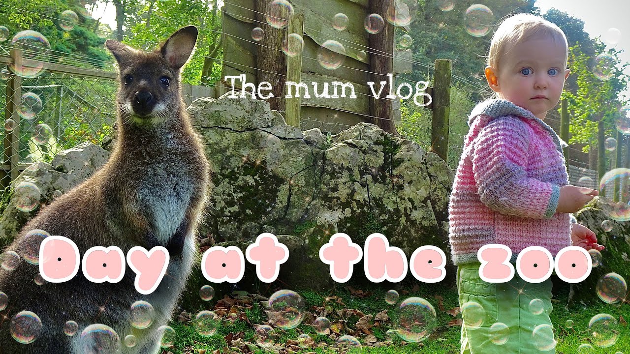 A Day at Manor Wildlife Park // The Mum vlog