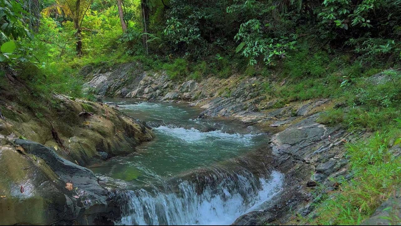 Mountain River Flowing Sounds 24/7 | Nature Sounds White Noise | Flowing Water for Deep Sleep, Relax
