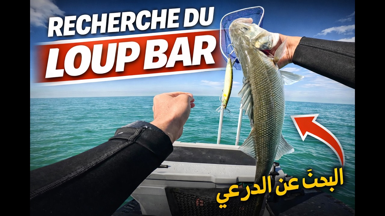 p&ecirc;che jet ski au Maroc seadoofish pro , Loup bar