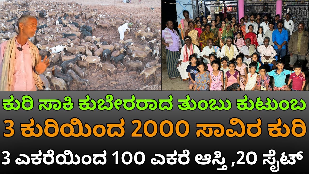 3 ಕುರಿಯಿಂದ 2೦೦೦ ಸಾವಿರ ಕುರಿ 3 ಎಕರೆಯಿಂದ 1೦೦ ಎಕರೆ ಆಸ್ತಿ ,2೦ ಸೈಟ್ |MEET the LARGEST joint  family EP-04