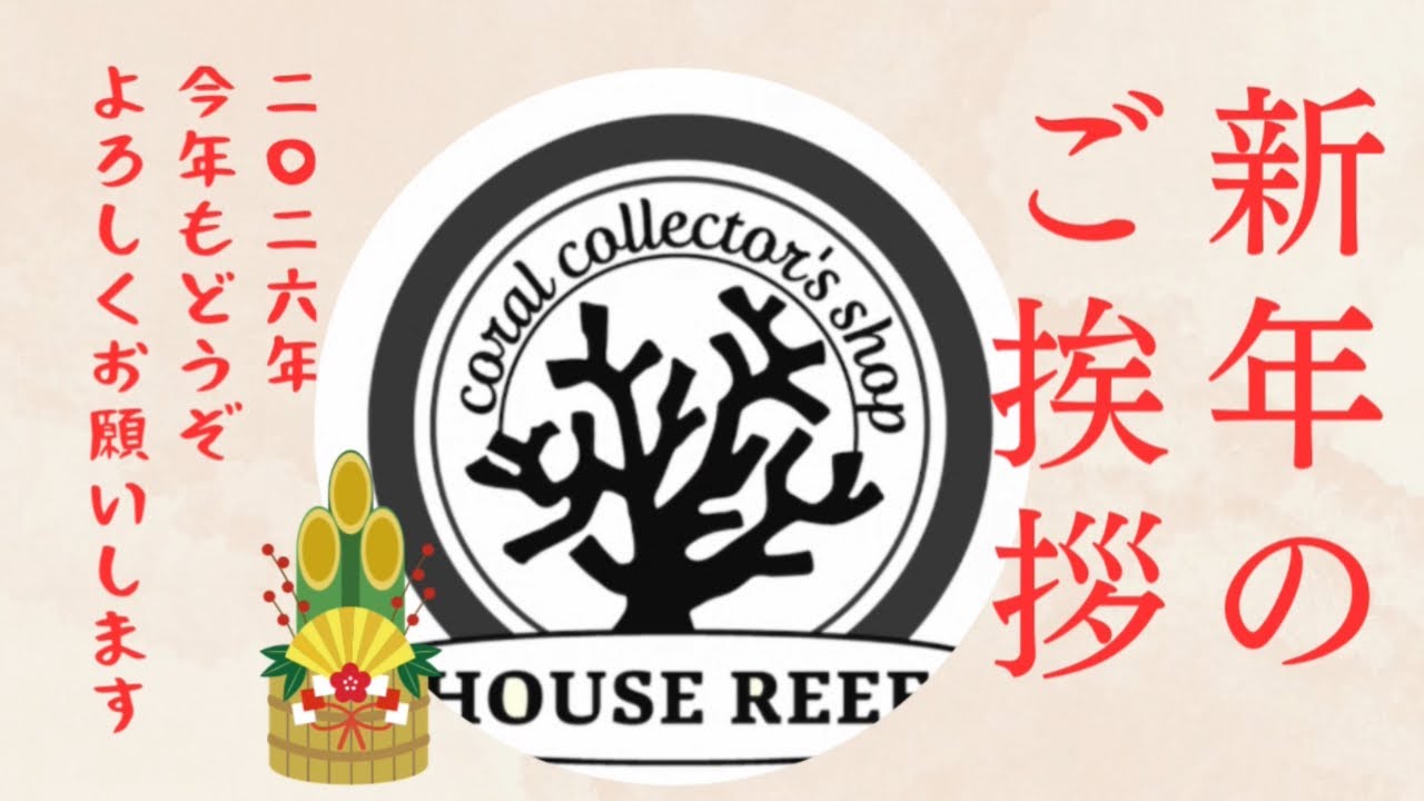 今更ながら、新年のご挨拶。。。