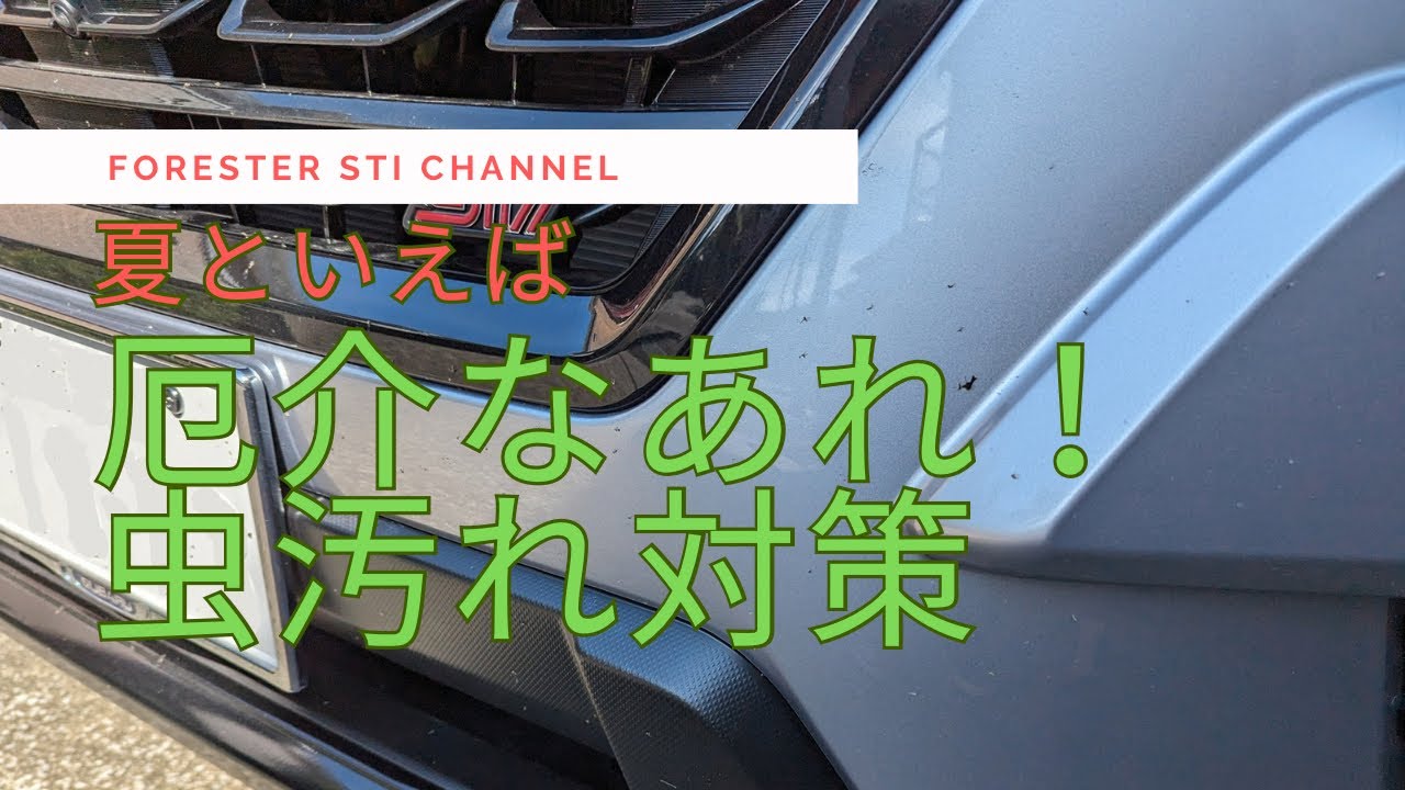 車の厄介な虫汚れ！もう悩まない簡単除去