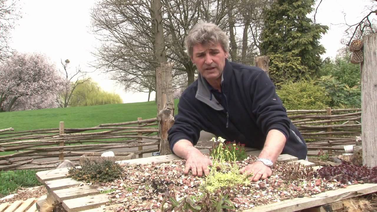Make your own Bug Hotel with the Horniman Museum