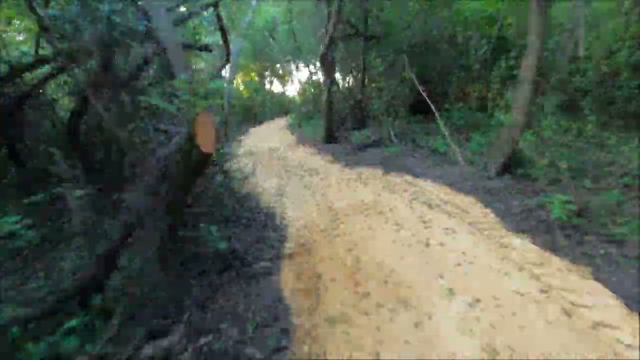 XC trails coming to life @ Maggieville 9 20 24