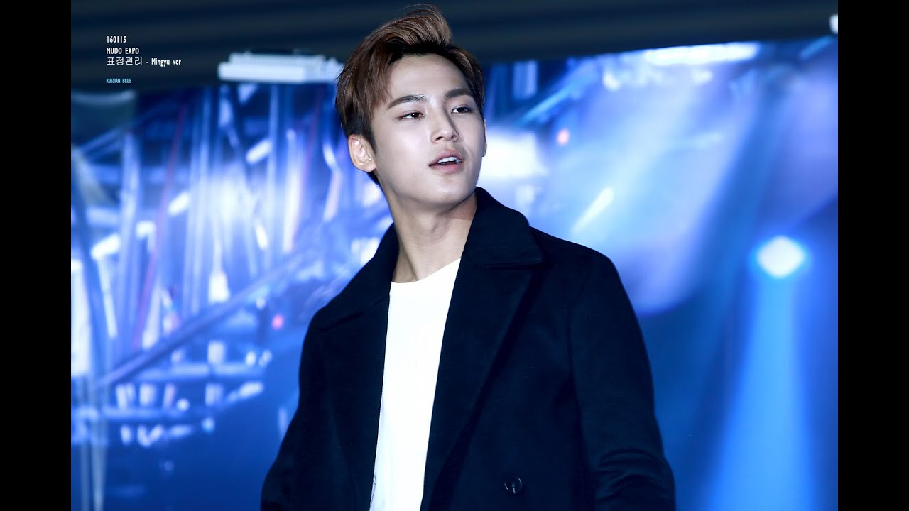 160115 무도엑스포 세븐틴 표정관리 민규ver
