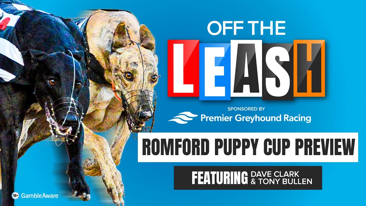 Romford Puppy Cup Preview | Off The Leash | Greyhound Tips | Racing Post