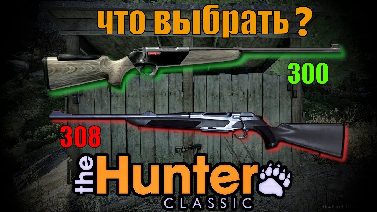 Что Же Купить Новичку 300 Или 308 The Hunter Classic