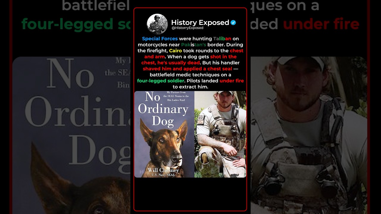 Why Special Forces Risked Everything to Save One Dog 🐕⚔️