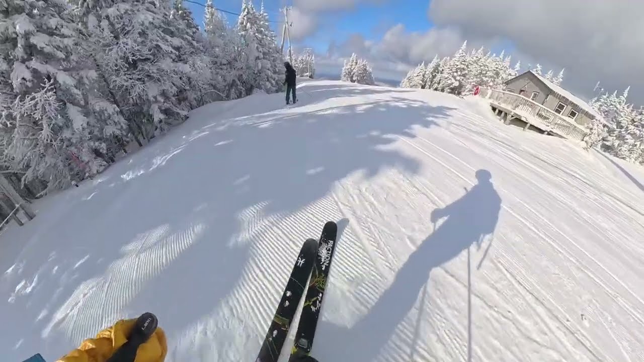 The Big Woods