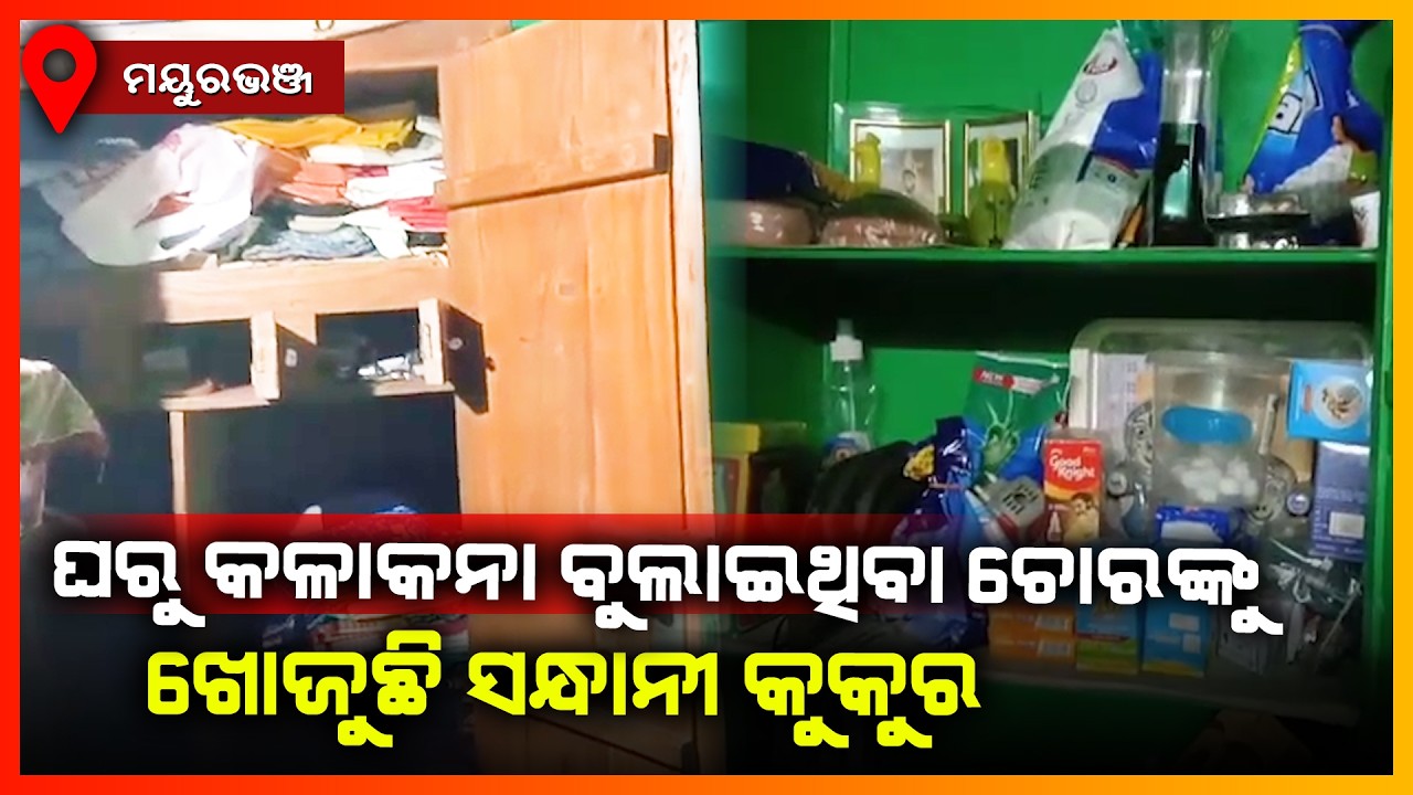 ଘରୁ କଳାକନା ବୁଲାଇଥିବା ଚୋରଙ୍କୁ ଖୋଜୁଛି ସନ୍ଧାନୀ କୁକୁର || MAYURBHANJ NEWS