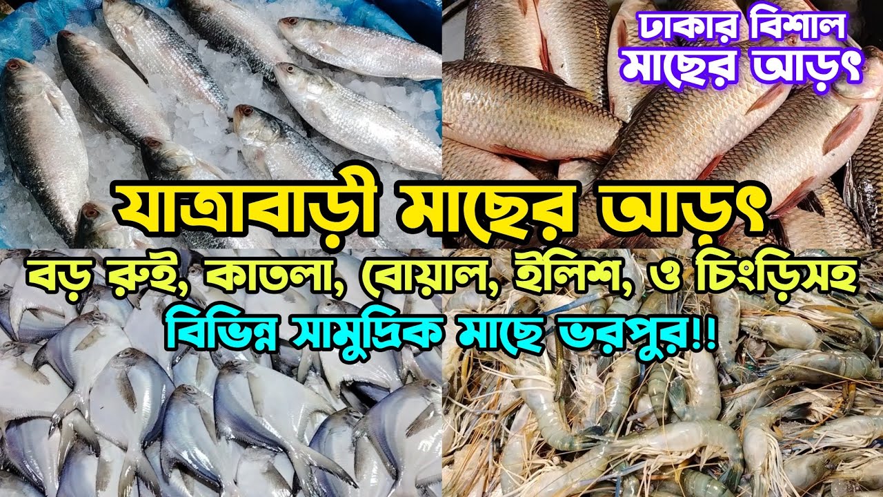 যাত্রাবাড়ী মাছের আড়ৎ | বিশাল পাইকারি ও খুচরা মাছের সমাহার | মাছের দাম জানুন? #মাছেরআড়ৎ #jatrabari
