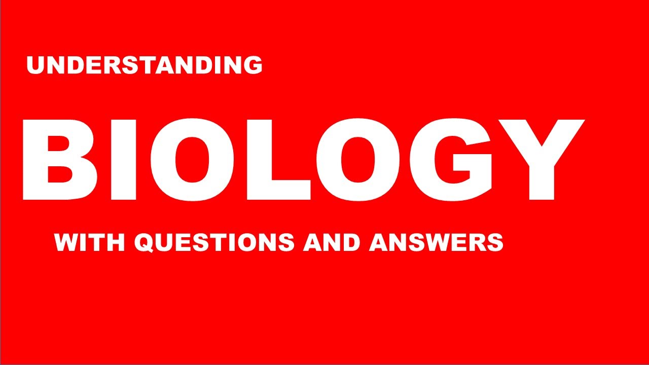 Understanding THALAMUS with questions and answers