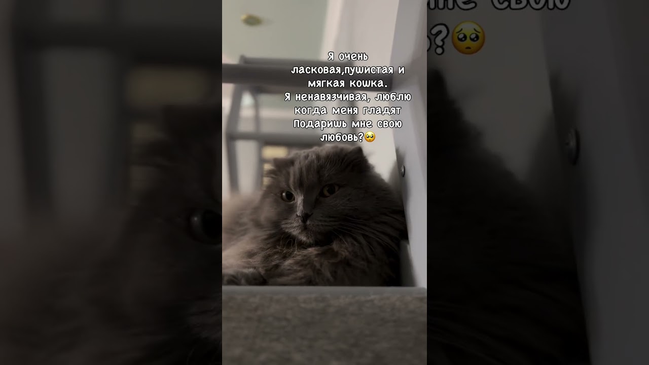 Доставка в другие города г.Саранск  +79271880201 телеграмм/вотсап, Тгк: Nstershova - подпишись 🙏🏻