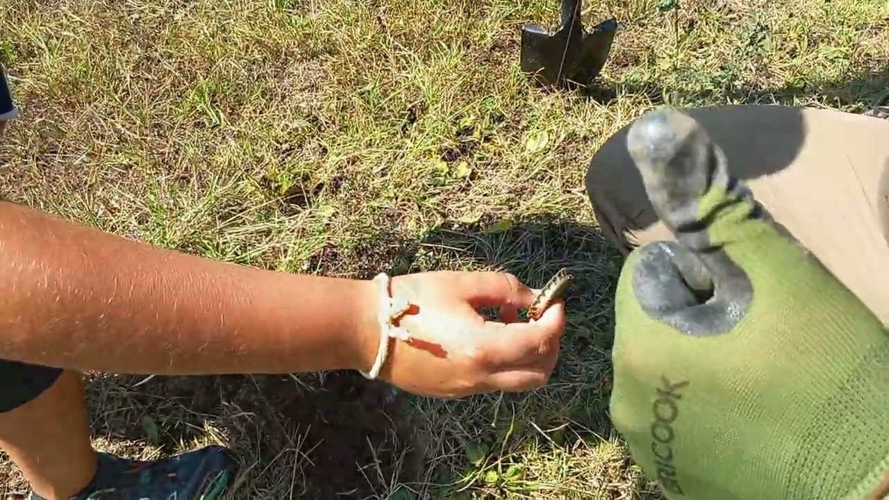 Incontro di metal detecting a Baiso di Reggio Emilia, 9 settembre 2023