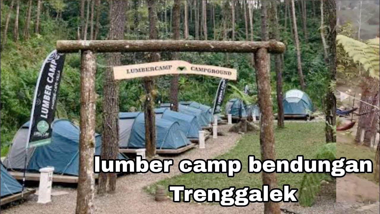 lumber camp viral di kec bendungan Trenggalek 