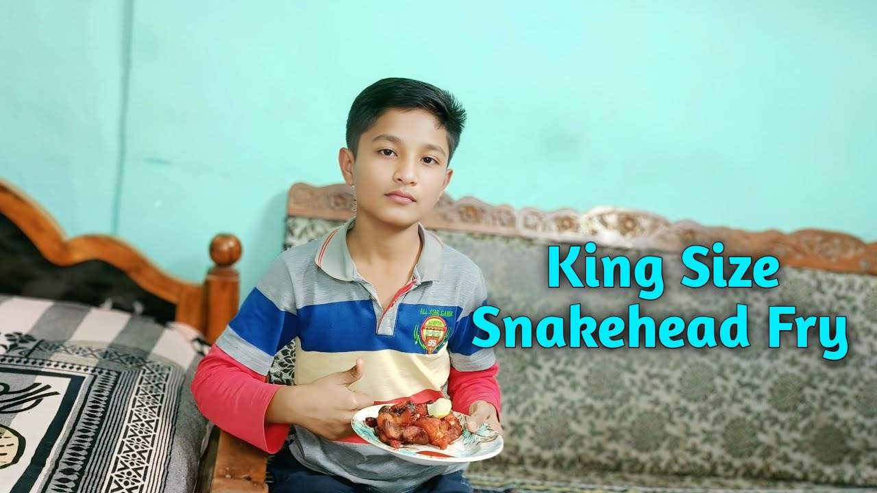 Papa ne King Size Snakehead Catch Kari 😱 | Giant Snakehead Fishing Day #FamilyVlog #Snakehead
