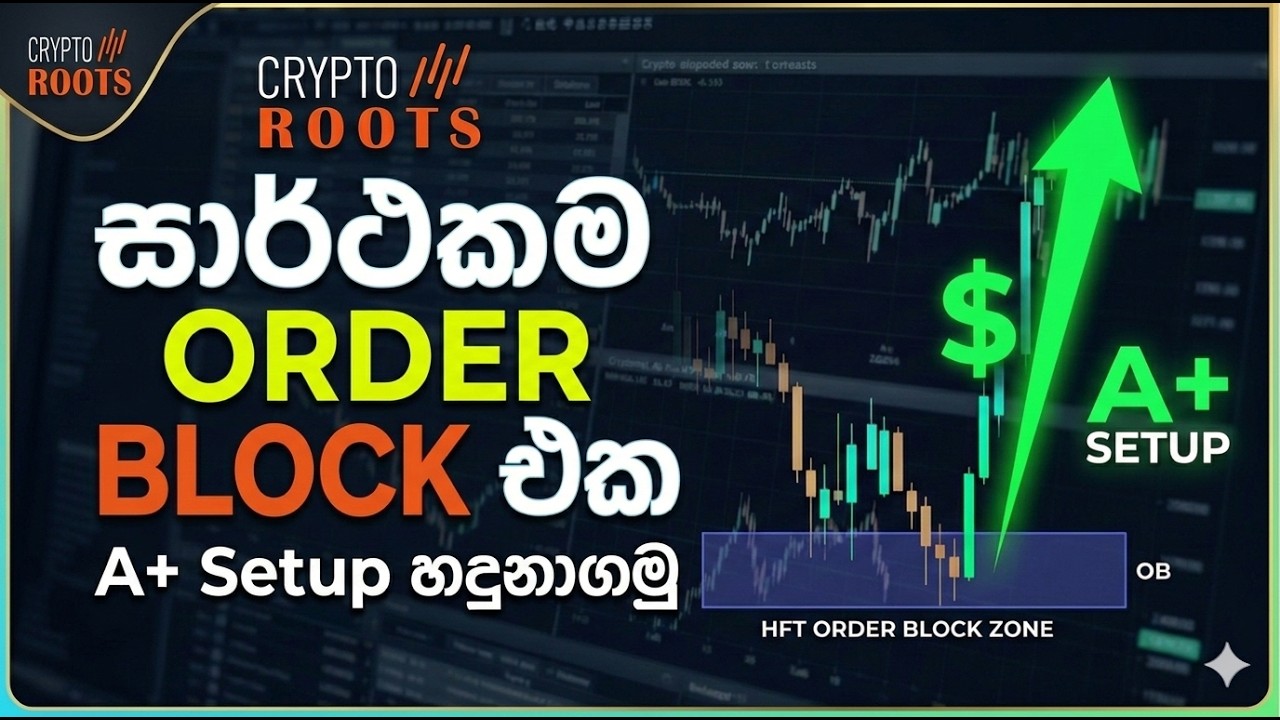 Order Block Trading Strategy Sinhala | සාර්ථකම A+ Setups හඳුනාගමු 🚀 | Crypto Roots