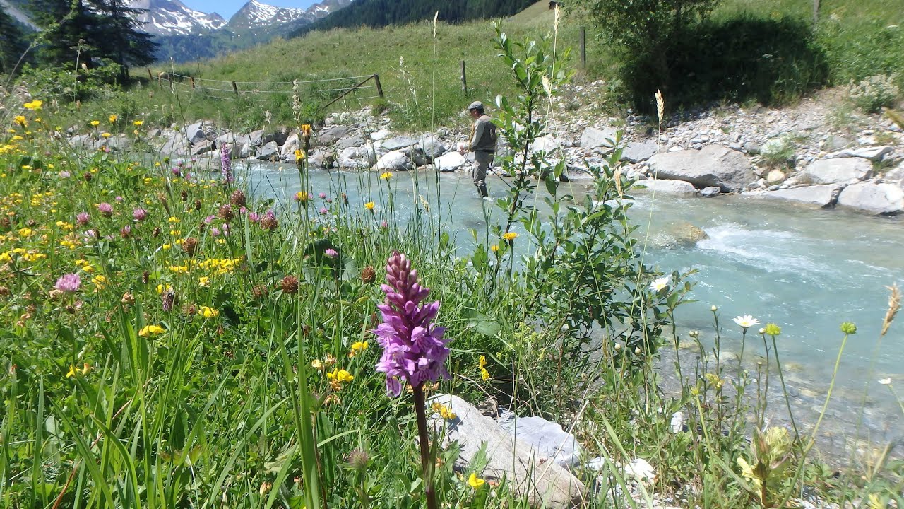 Tuxbach Zillertal Tirol