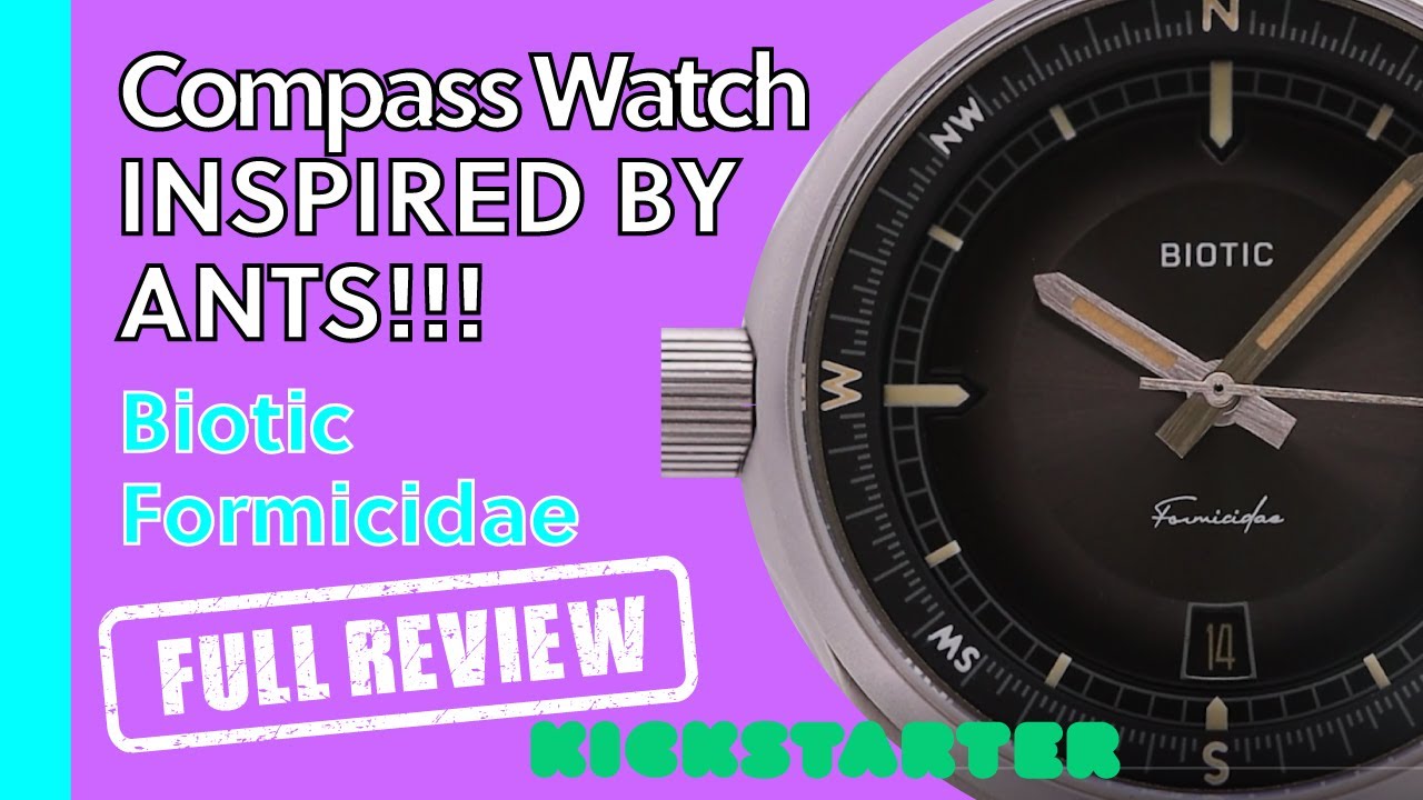 The Ant-Inspired Microbrand Watch - In-Depth Watch Review of the The Biotic Formicidae