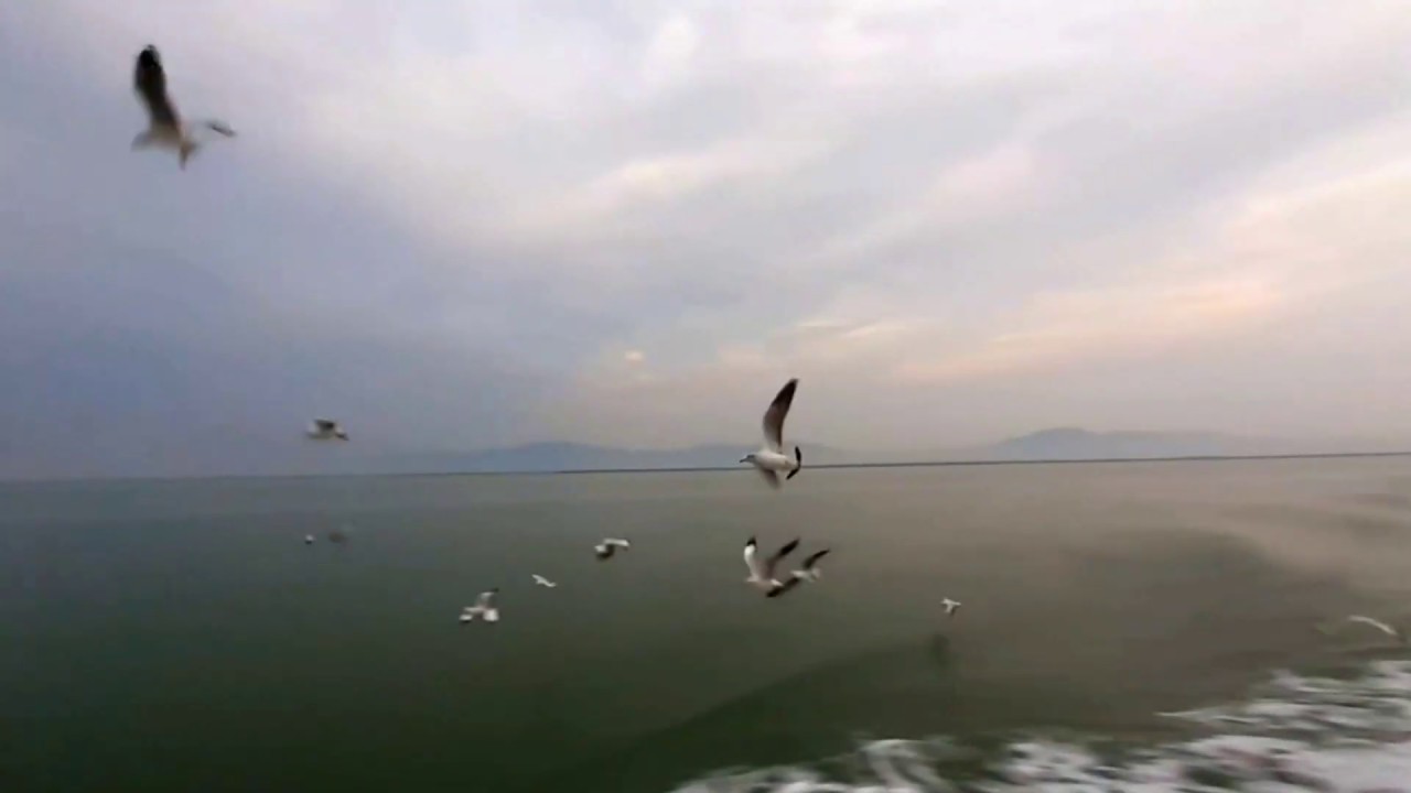 Saint Martin - the beautiful journey - a glimpse of beauty