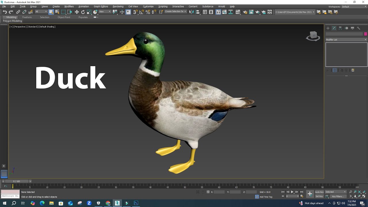Duck Modeling Tutorial .