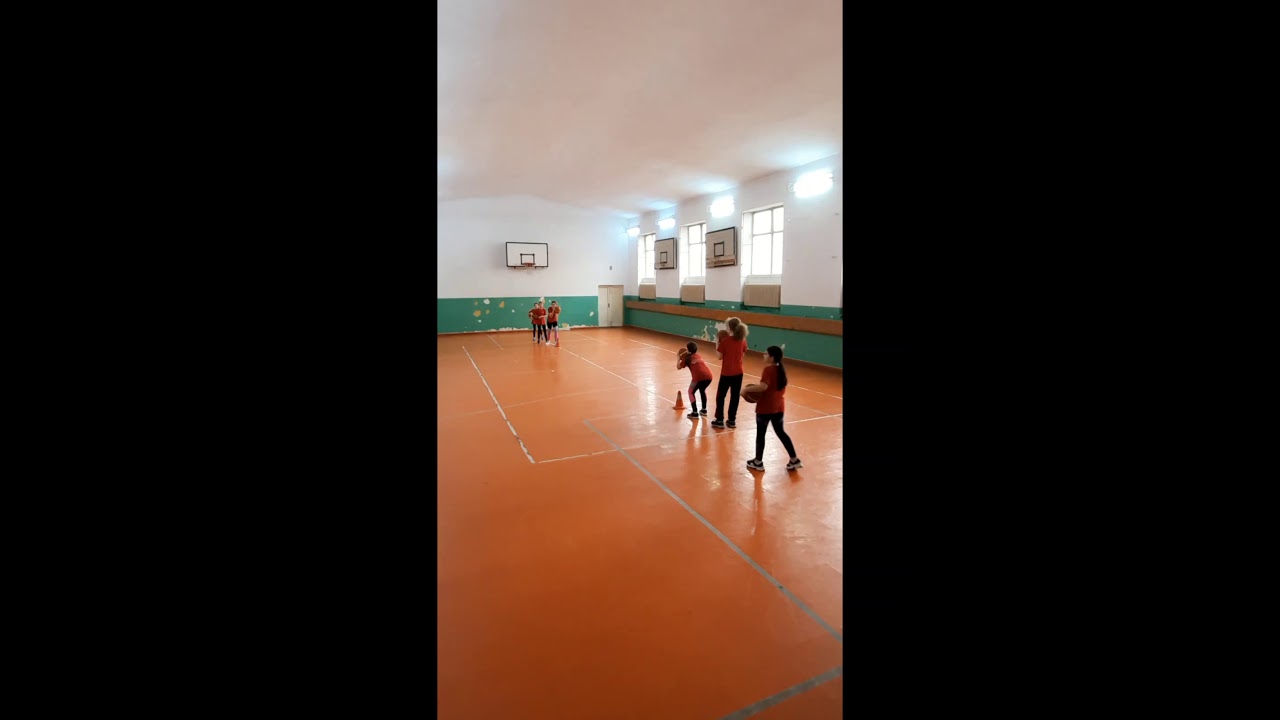 Mijloace de învățământ specifice jocului de baschet