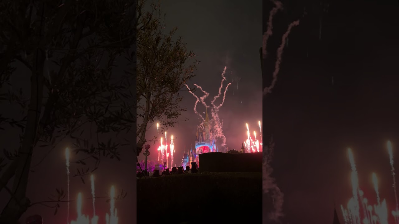 Reach the Stars Tokyo Disneyland February 24, 2026 