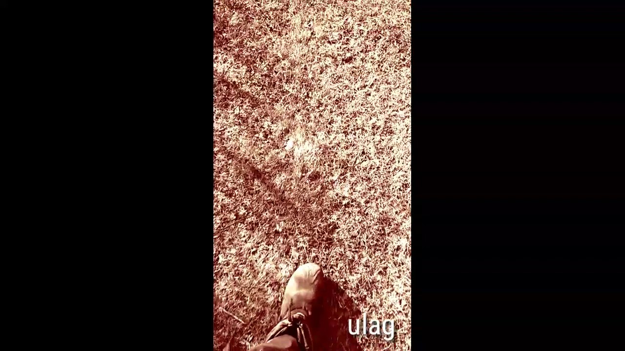 Arrow / Ulag (original)