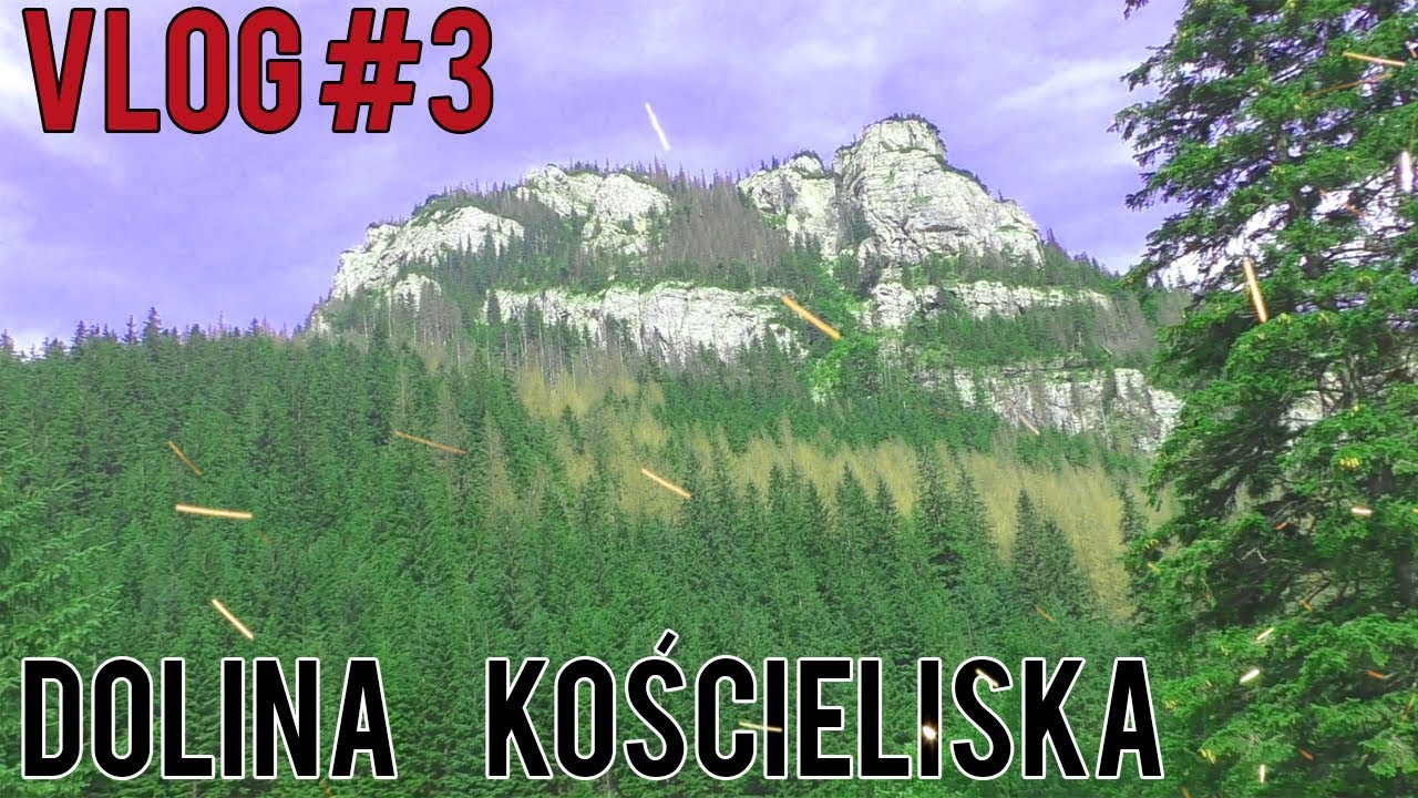 Wakacyjny Vlog Part 3 - Kaczor Vloger, Strzelanie z wiatrówki, Skoczkowie
