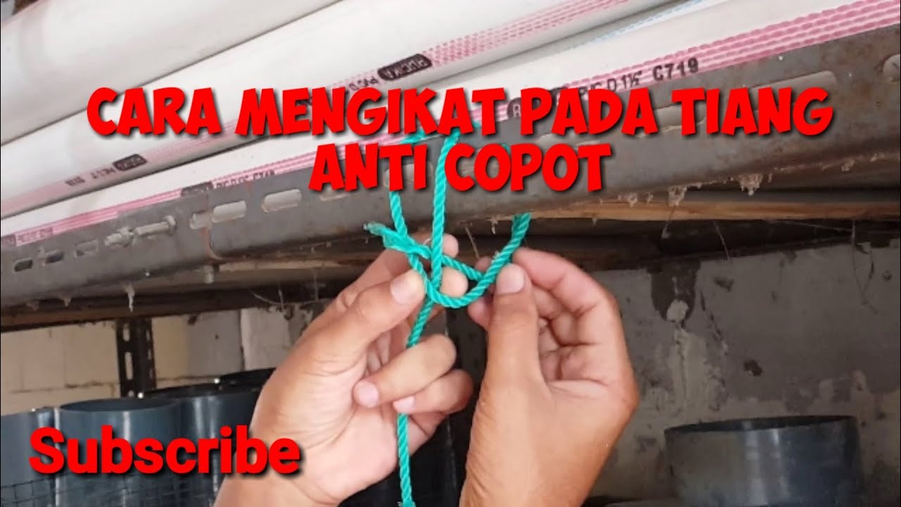 Cara mengikat Tali yang kencang pada Tiang anti Copot #ikattali #ikatkayu