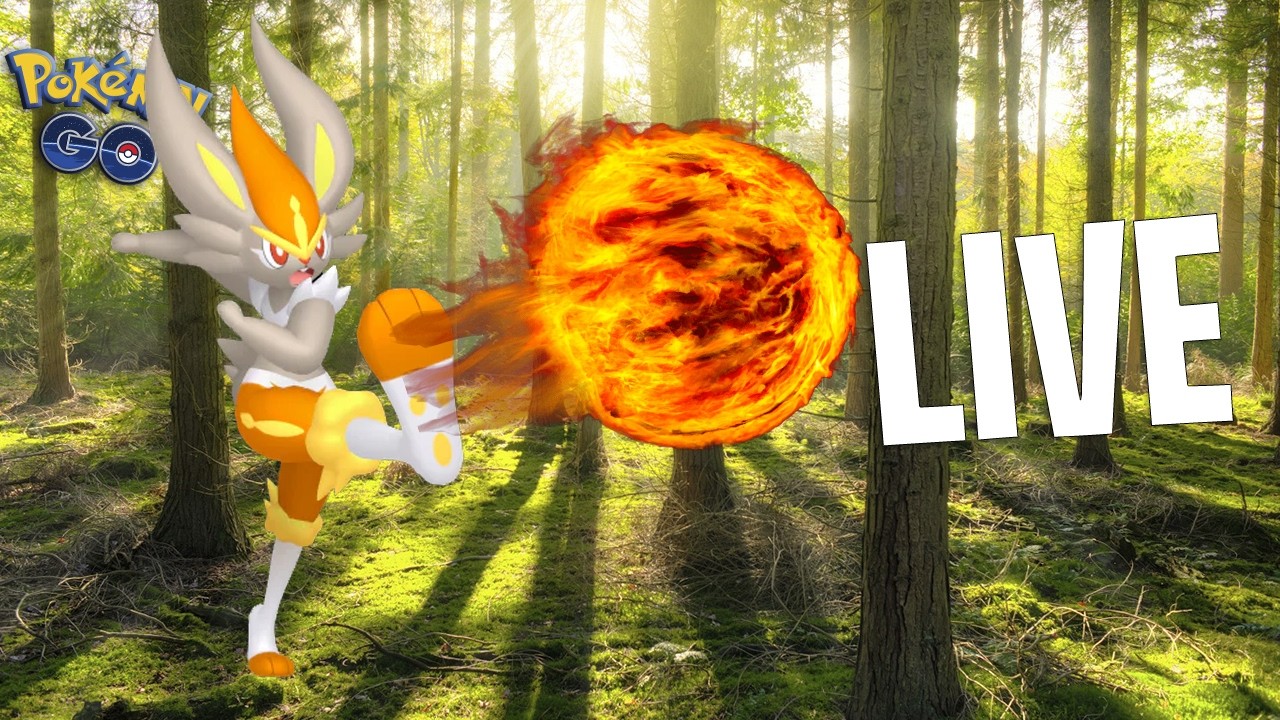 DIA DA COMUNIDADE SCORBUNNY
