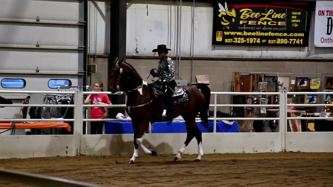 Nic & Ah Spotz in Class 84 - Saddle & Bridle Shatner  @ Spooktacular on Oct 18, 2025 in Springfield