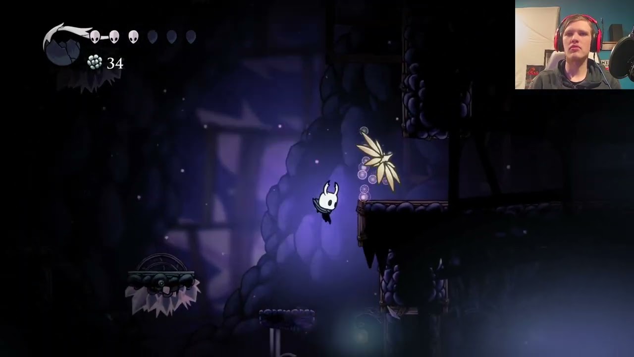 Hollow Knight part 8?
