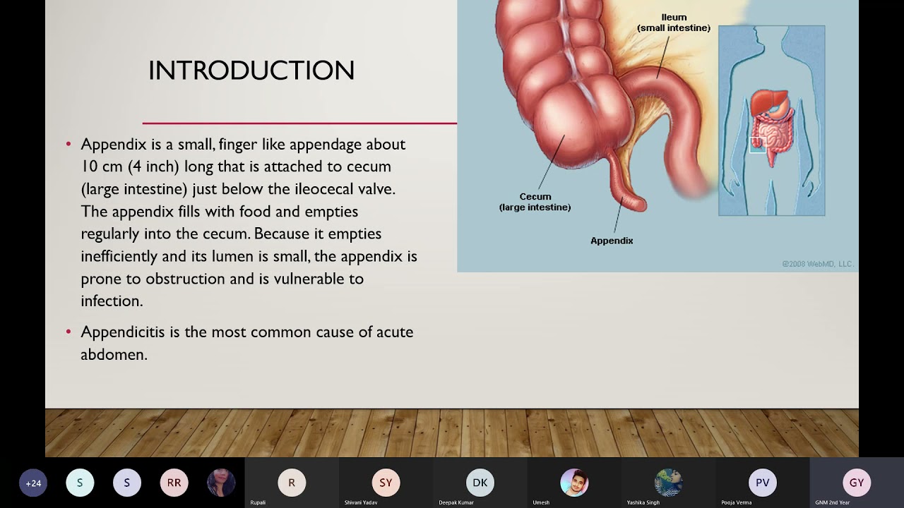 Gastritis | Class- GNM 2nd year | Metro College of Nursing