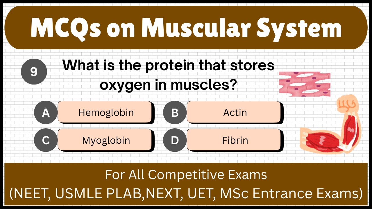 Top 30+ Muscular system MCQs || Muscular system MCQs questions