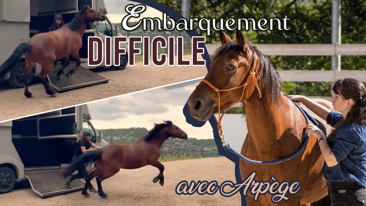 • EXPRESS • Désamorcer les défenses sur l'embarquement (Arpège)